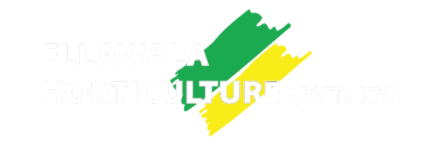 Ellawala Horticulture (Pvt) Ltd